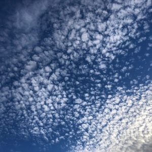 Meet your Posher, Leila